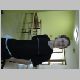 DSC00312.JPG